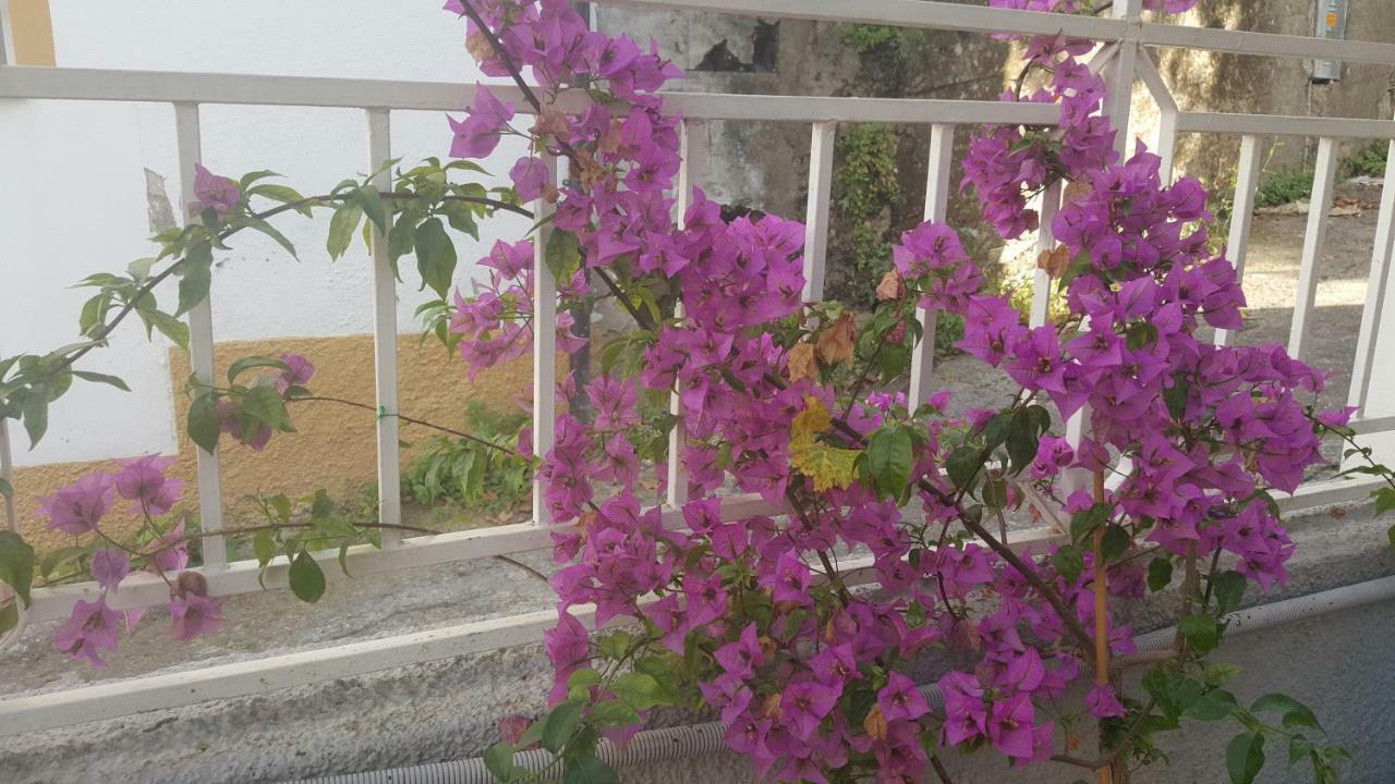 바리사르도 Il Pergolato 빌라 외부 사진